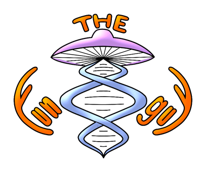 The Fun Guy Kombucha logo
